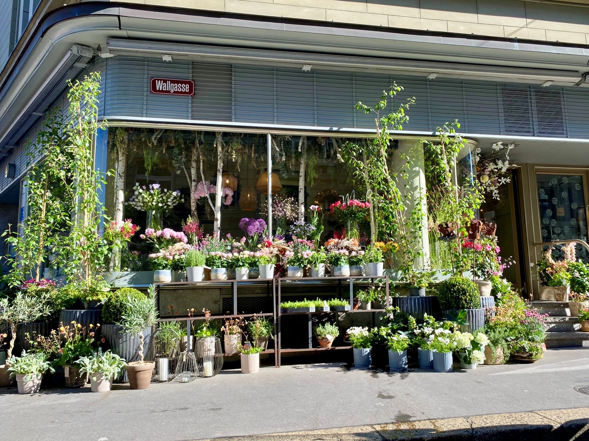 mario burkhard art floral, Hirschengraben